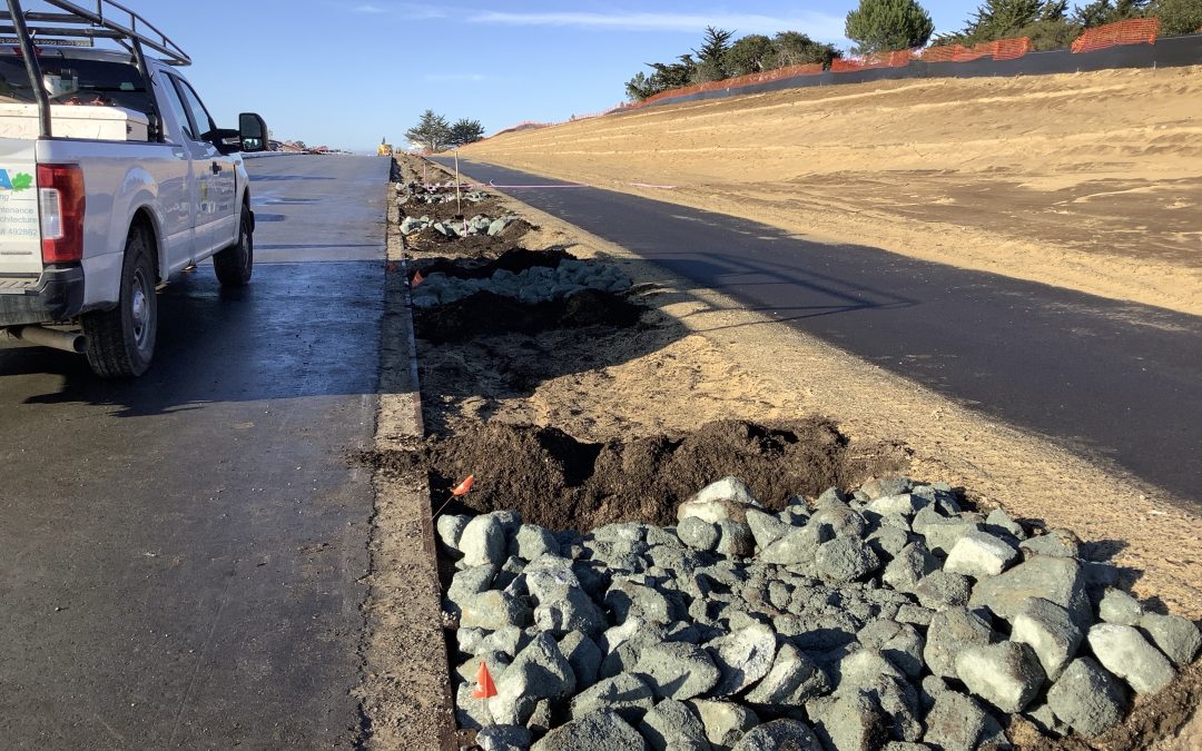 Imjin Parkway Widening & Roundabout Project Newsletter – January 6, 2025